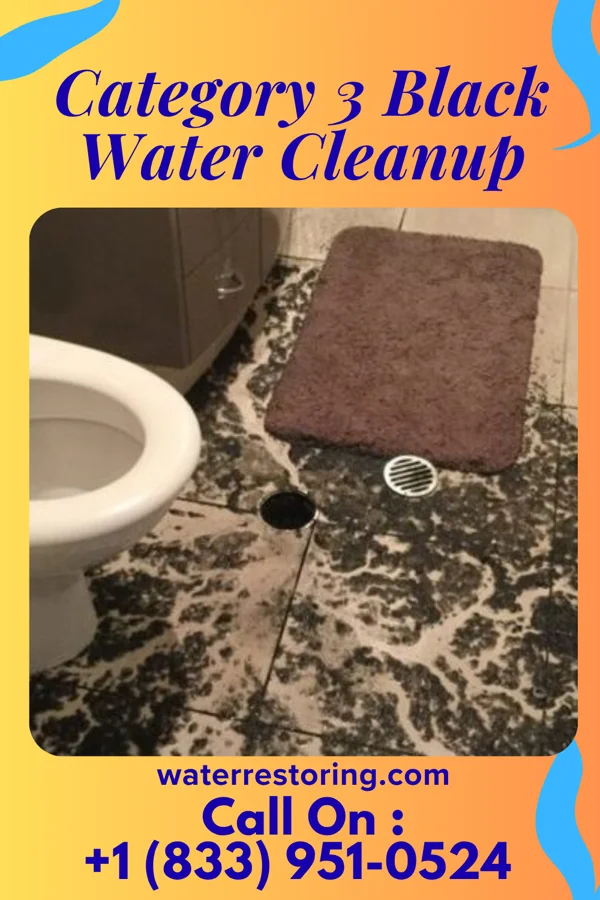 Category 3 Black Water Cleanup in North Cape May, NJ