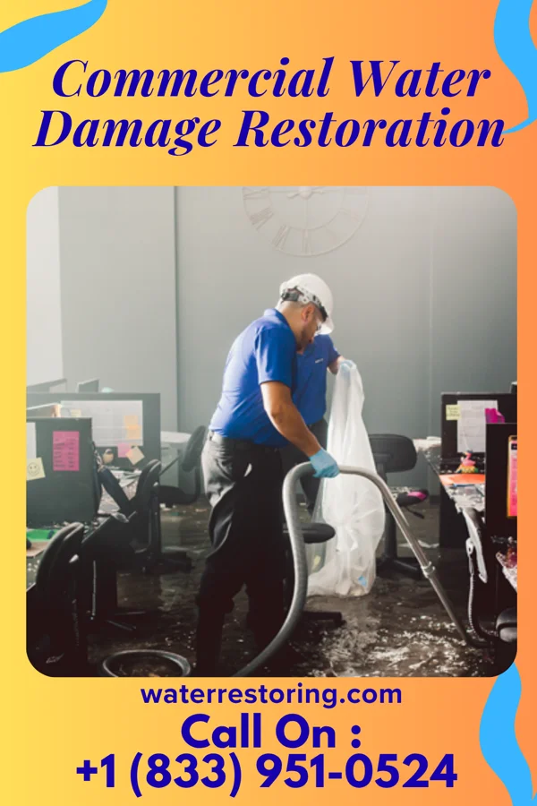Commercial Water Damage Restoration in North Cape May, NJ