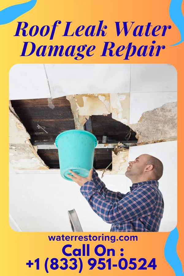 Roof Leak Water Damage Repair in North Cape May, NJ