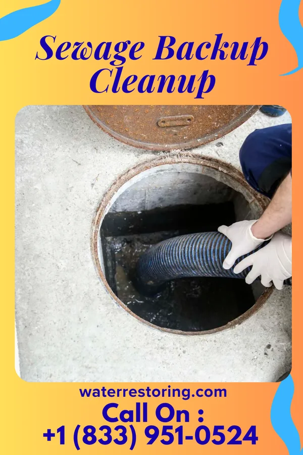 Sewage Backup Cleanup in North Cape May, NJ