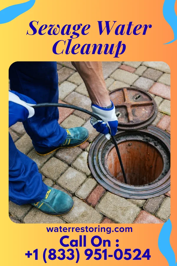 Sewage Water Cleanup in North Cape May, NJ